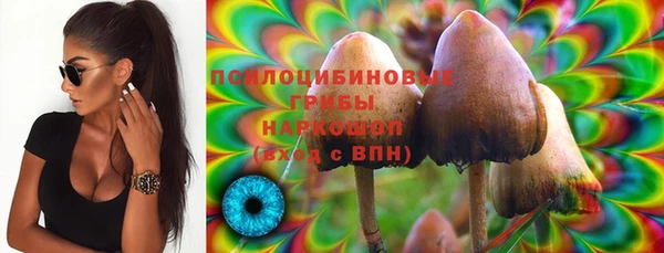 2c-b Протвино