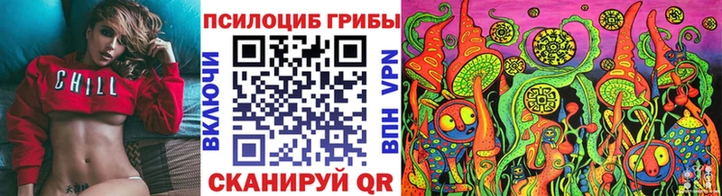 Галлюциногенные грибы Psilocybine cubensis  Чебаркуль 